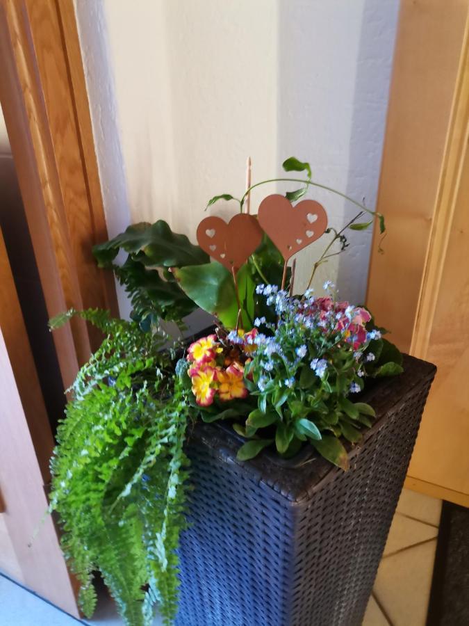 Ferienwohnung Hohe Wand Heiligenblut Exteriör bild
